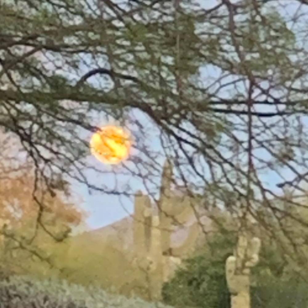 Meet your Posher, Kristin